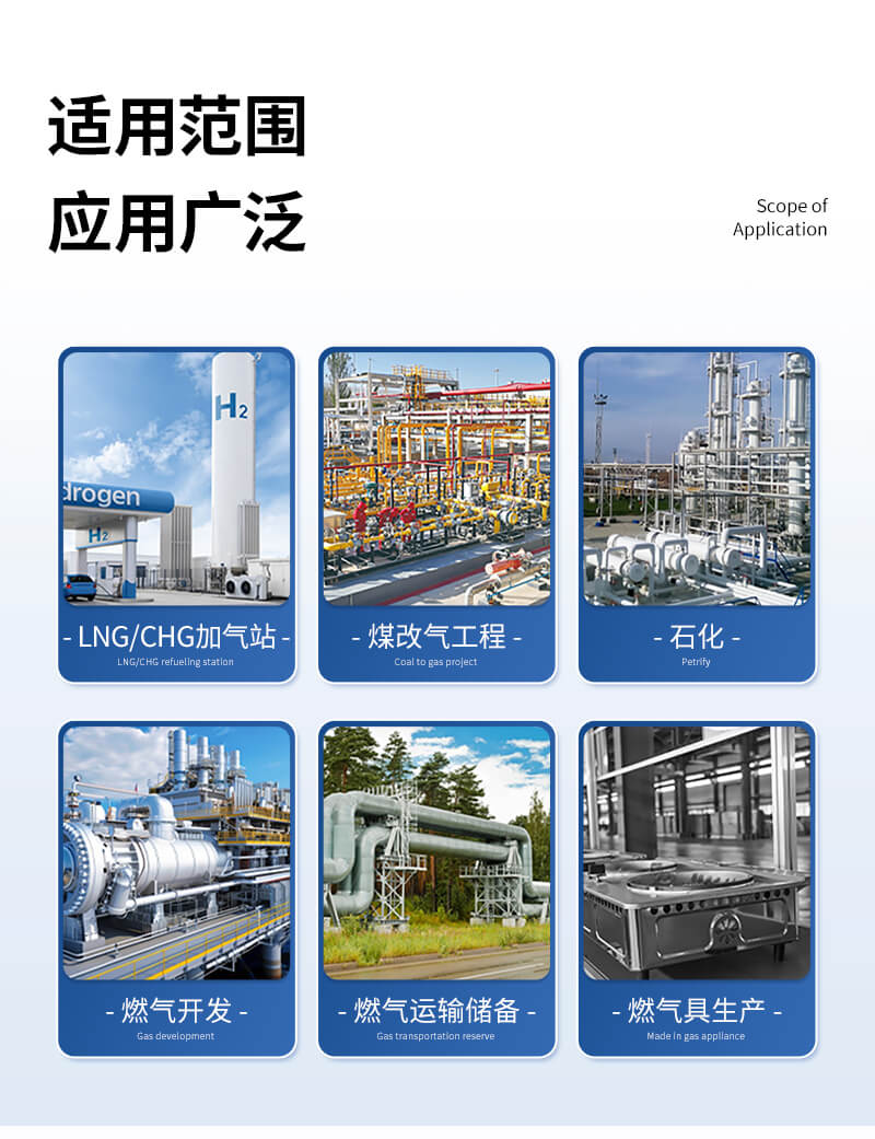全自動天然氣分析儀